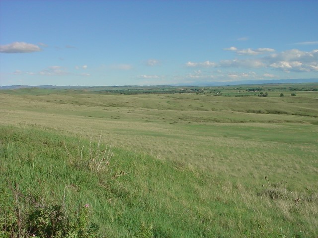 MVC-056F.JPG